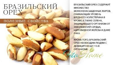 Множество целебных свойств целебные свойства грецкого ореха