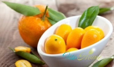 Кумкват - также антипохмельное средства кумват борется с похмельем