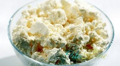Волшебное действие на желудок и кишечник молочный гриб и его употребление