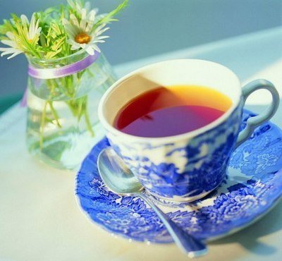 Целебный настой в домашних условиях целебный отвар из эхинацеи