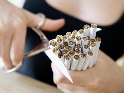 Эхинацея поможет бросить курить эхинацея против курения