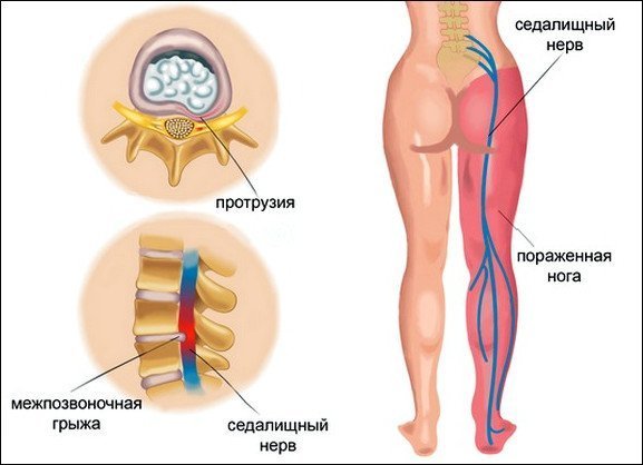 Сделать домик из картона схемы Сделать домик из картона схемы