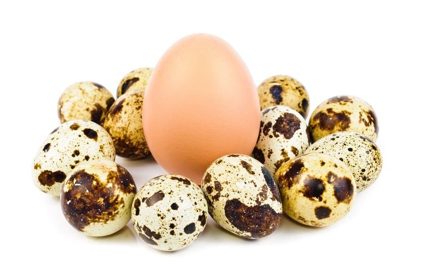 Есть ли холестерин в яйцах?