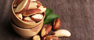 Бразильский орех: полезные свойства и противопоказания