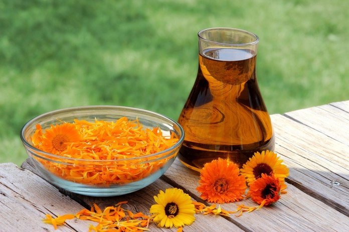 Calendula flower petals and oil extract in a glass jug