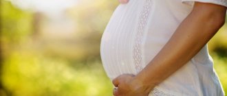 Валериана при беременности: все «за» и «против»