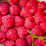 Лечебные свойства и применение малины