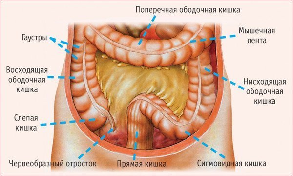 То делать когда запор в домашних условиях То делать когда запор в домашних условиях