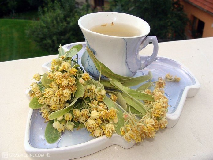 lipa-chai-b