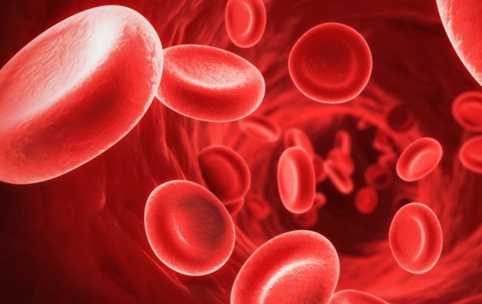 Состав крови при анемии