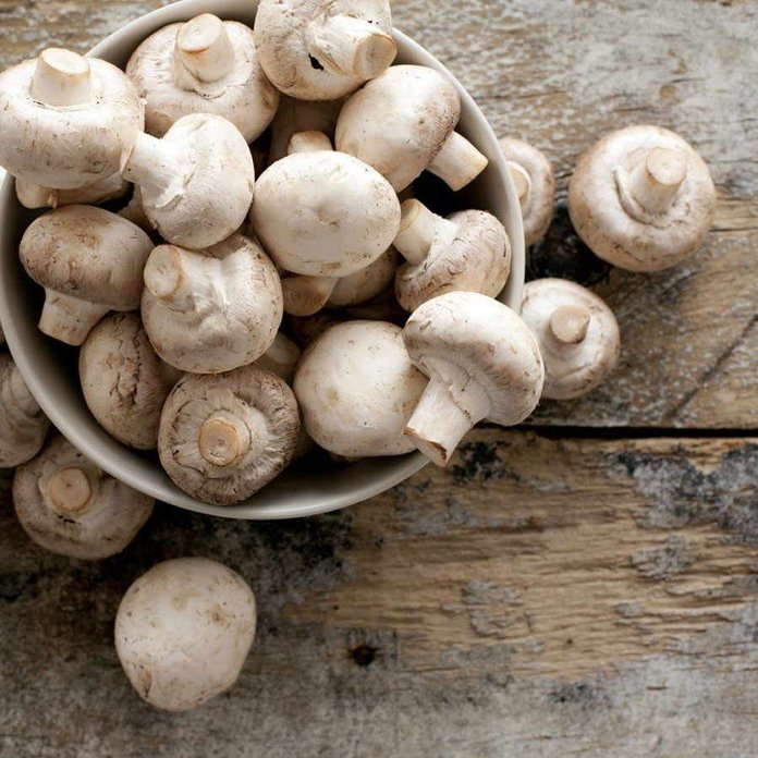 champignon pretty