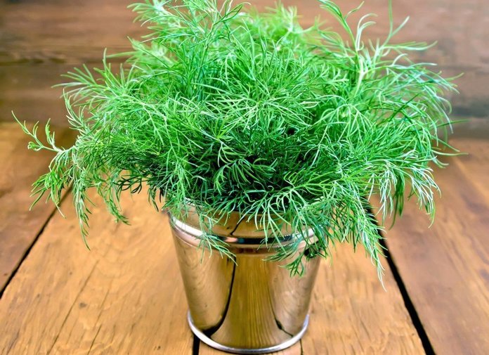 dill pretty