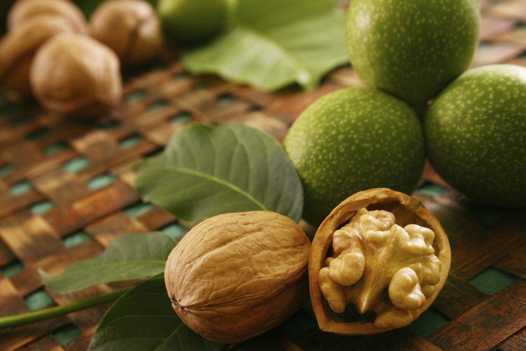 Как вырастить грецкий орех из плода?