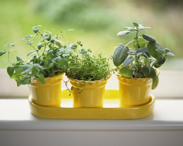 veggies yellow