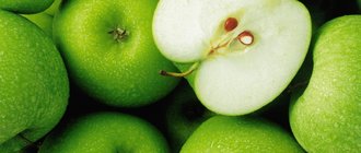 Как вырастить яблоню в домашних условиях?