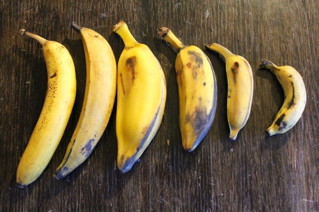Как вырастить банан в домашних условиях?