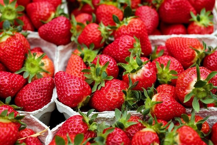 berry art