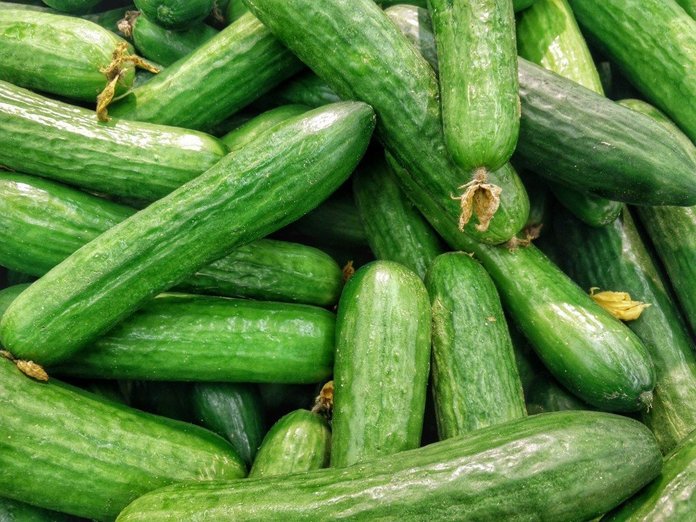 cucumber wall