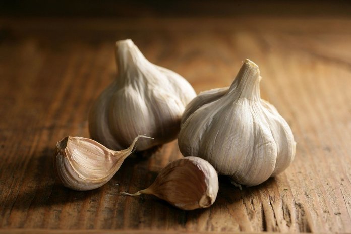 garlic art
