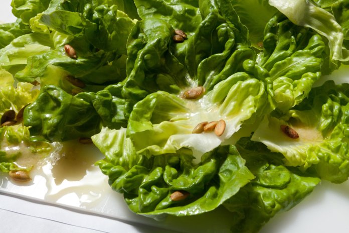 Как вырастить салат в открытом грунте?